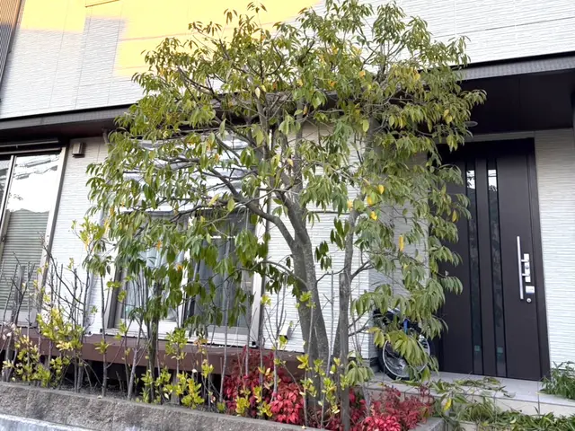 【くらマアワード2025受賞】◆まとめて割引◆作業後の追加料金なし◆高リピート率サービスの画像