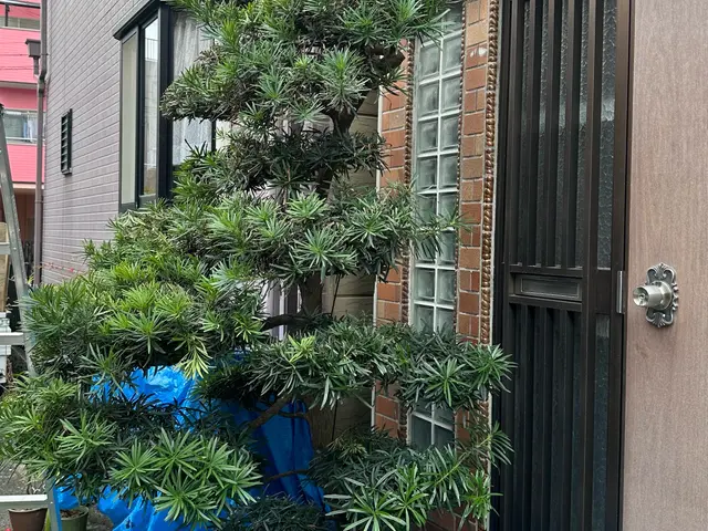 【まとめて割引あり】最短当日、土日祝対応◆作業後の追加料金なし◆高いリピート率サービスの画像