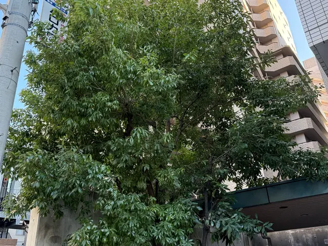 【まとめて割引あり】最短当日、土日祝対応◆作業後の追加料金なし◆高いリピート率サービスの画像