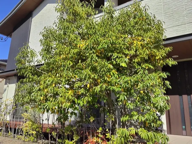 【くらマアワード2025受賞】◆まとめて割引◆作業後の追加料金なし◆高リピート率サービスの画像