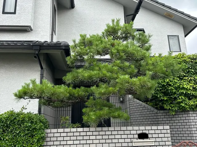 【まとめて割引あり】最短当日、土日祝対応◆作業後の追加料金なし◆高いリピート率サービスの画像