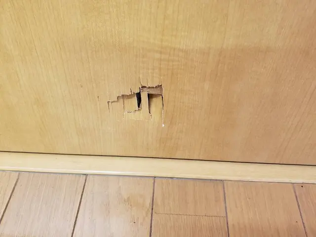 「焦げ・シミ・傷・穴」どんな傷でもお任せください！サービスの画像