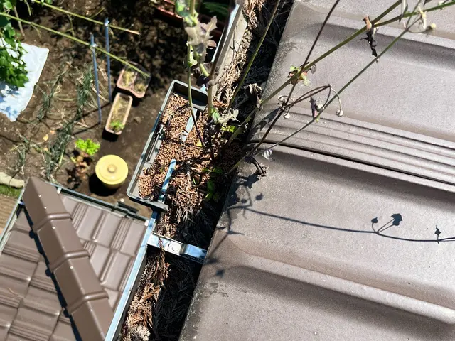 どんなに小さな事でも喜んで対応させていただきます！心を込めて作業します！サービスの画像