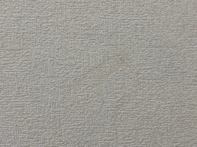 【業歴10年以上】クロス壁の穴補修！プロの技で納得の施工！サービスの画像