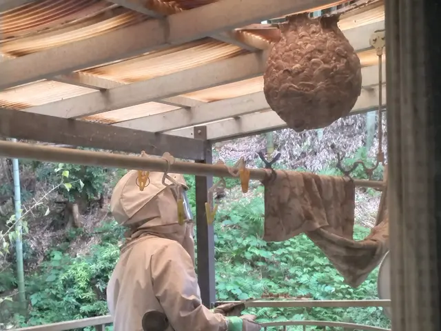 皆様のおかげで口コミ150件突破！蜂駆除を安心価格で！※必ず私が伺います※サービスの画像