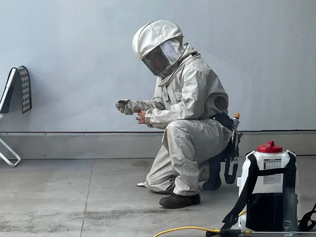 皆様のおかげで口コミ150件突破！蜂駆除を安心価格で！※必ず私が伺います※サービスの画像