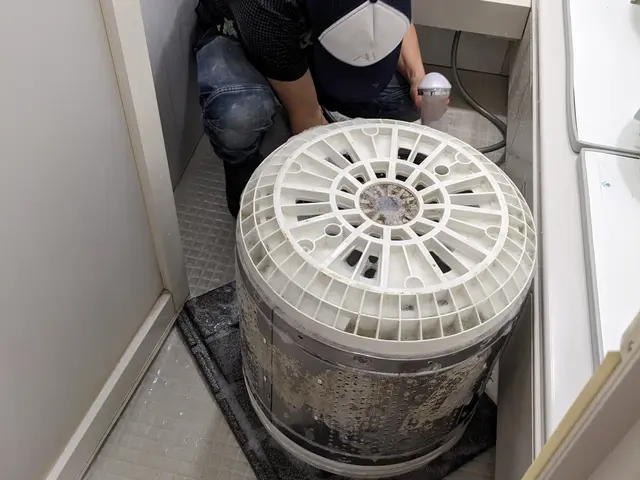 【明日も作業可能】SNSで話題の会社！プレママ必見！サービスの画像