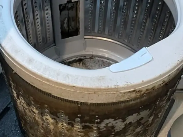 【明日も作業可能】SNSで話題の会社！プレママ必見！サービスの画像