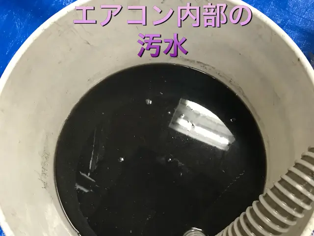 テレビ・くらマYouTubeなど複数出演！【アワード6年連続受賞】複数台割引ありサービスの画像