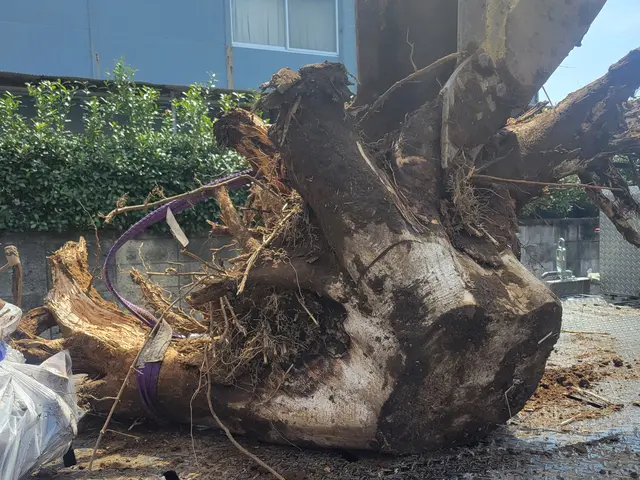 【新規出店】経験年数は20年!!大規模工事も対応可！【安心の法人企業】サービスの画像