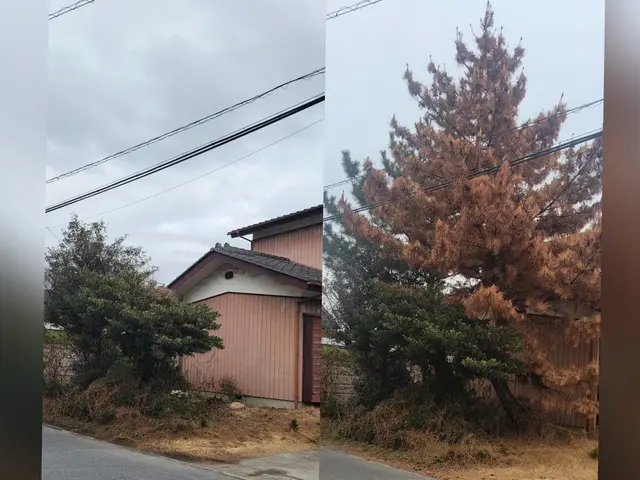 【新規出店】経験年数は20年!!大規模工事も対応可！【安心の法人企業】サービスの画像