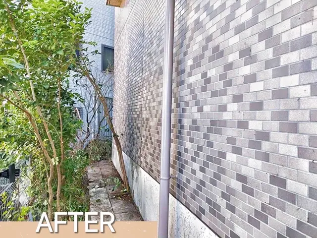 ◆口コミ賞受賞◆煩わしいツタ取り、プロにお任せしてリフレッシュしませんか？？サービスの画像