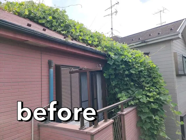 ◆口コミ賞受賞◆煩わしいツタ取り、プロにお任せしてリフレッシュしませんか？？サービスの画像