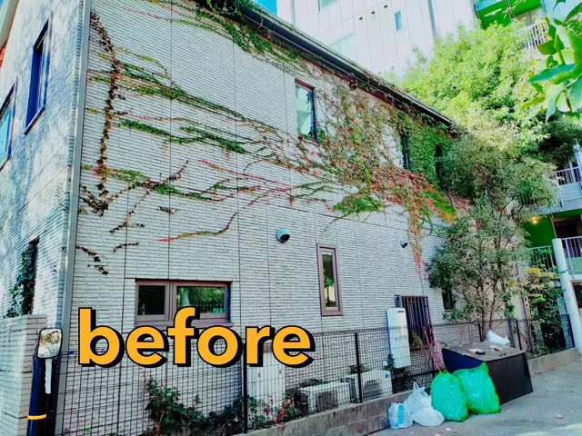 ◆口コミ賞受賞◆煩わしいツタ取り、プロにお任せしてリフレッシュしませんか？？サービスの画像