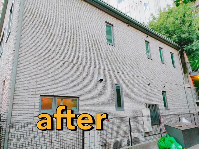 ◆口コミ賞受賞◆煩わしいツタ取り、プロにお任せしてリフレッシュしませんか？？サービスの画像