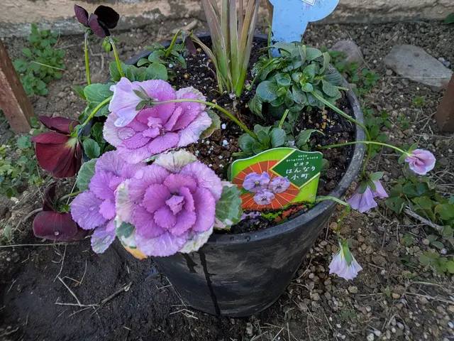 プロの技術でご満足いただけるように心を込めて作業いたしますサービスの画像