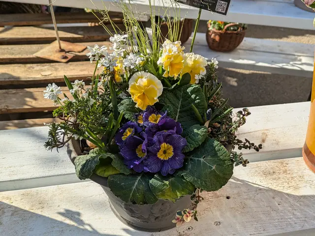 プロの技術でご満足いただけるように心を込めて作業いたしますサービスの画像