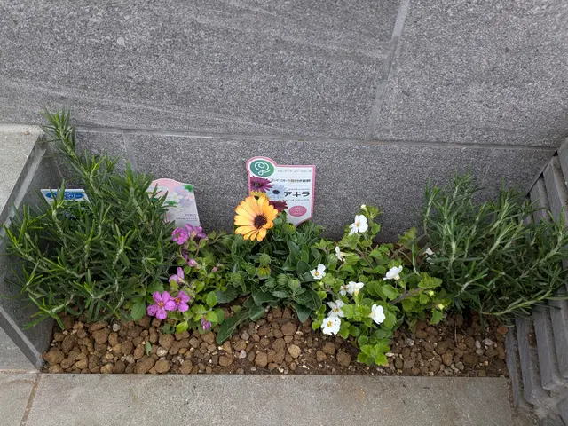 ご満足いただけるよう心を込め作業いたします。店長自ら活け込みます。〜未生流〜サービスの画像