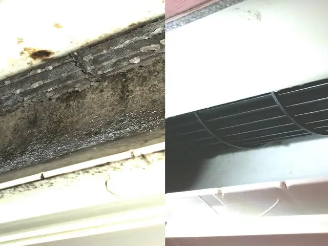 60年つづく新聞販売店が提供！人体に優しいオーガニック洗剤でエアコンクリーニングサービスの画像