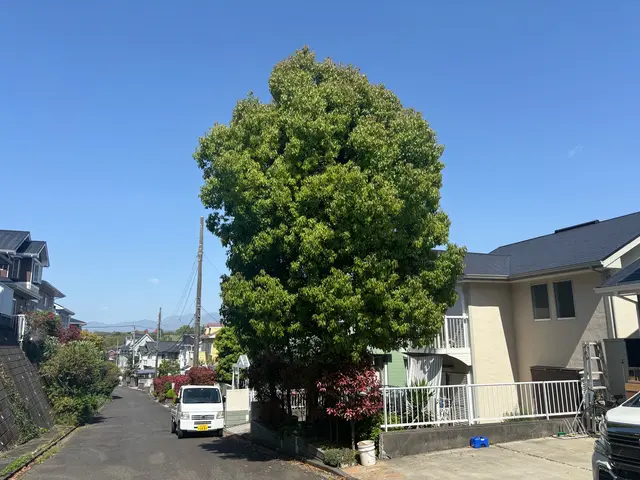 営業時間外・対応地域外でもご要望お聞きします◎サービスの画像