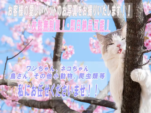 【枚数無制限！即日納品可能！】あなたの愛しいペットの写真をお撮りいたします！サービスの画像