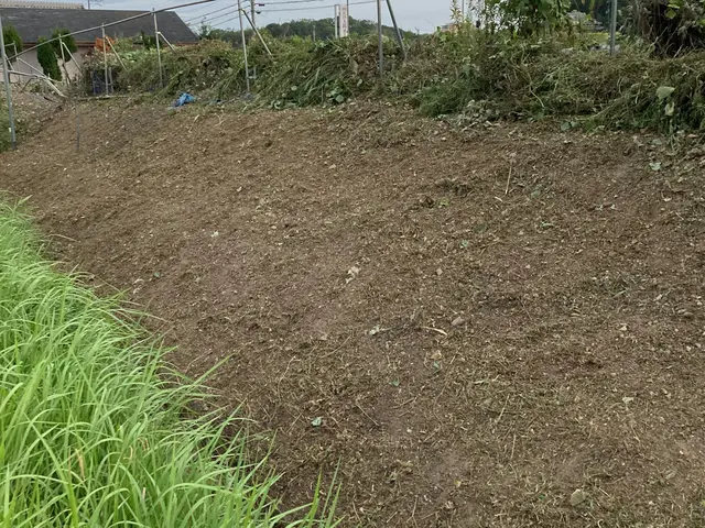 職人っぽくないフランクな対応が売りです！当日対応可能な草刈りサービスサービスの画像