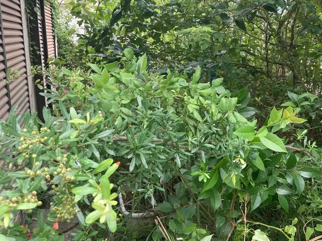 職人っぽくないフランクな対応が売りです！当日対応可能な草刈りサービスサービスの画像