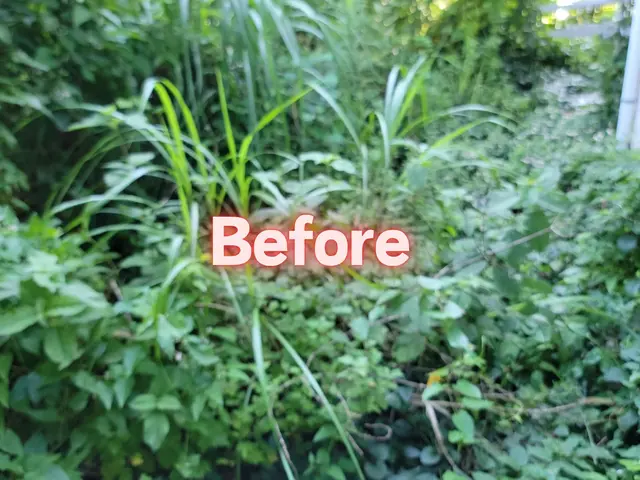 【岡山市東区発！】敷地も心もスッキリ・キレイに仕上げます☆サービスの画像