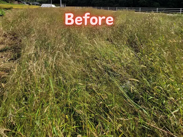 【岡山市東区発！】敷地も心もスッキリ・キレイに仕上げます☆サービスの画像