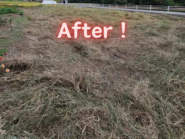 【岡山市東区発！】敷地も心もスッキリ・キレイに仕上げます☆サービスの画像