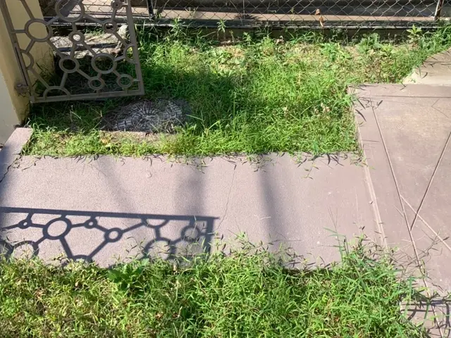 早い丁寧綺麗をモットーに「この草どうしよう…」お困り顔を笑顔に◎女性スタッフ必ずサービスの画像