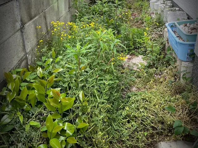 早い丁寧綺麗をモットーに「この草どうしよう…」お困り顔を笑顔に◎女性スタッフ必ずサービスの画像