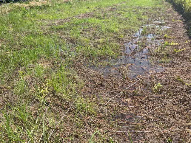 らくらく草刈隊サービスの画像