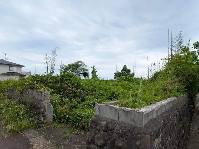 【地域密着店】お庭や空き家、空地等の草刈りサービスの画像