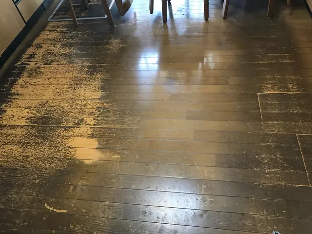 業界歴20年の大手経験者が提供するフロア・ガラスコーティングサービスの画像