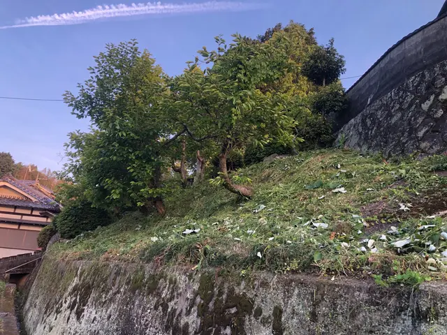 草刈りはお任せ下さい！サービス・価格は他社には負けません！損害保険加入済みサービスの画像