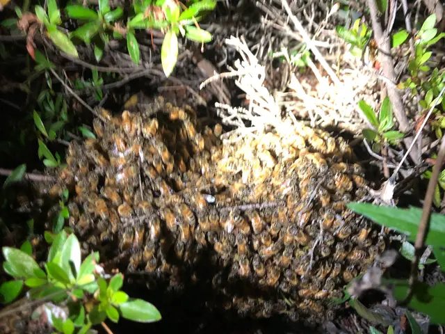 年中無休で即対応◎関東は完全自社施工◎営業時間外・対応地域外もご相談歓迎サービスの画像