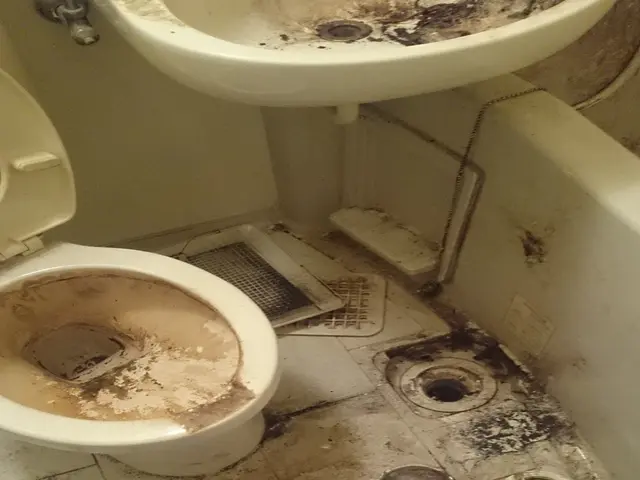 一日一件の集中対応！面倒な回りを丁寧に作業ております。お気軽にご連絡下さい。サービスの画像