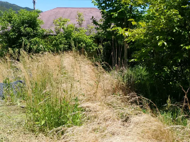 気になるお庭、田畑畦の草刈、竹やぶ雑木林も対応します。まずはご相談ください。サービスの画像