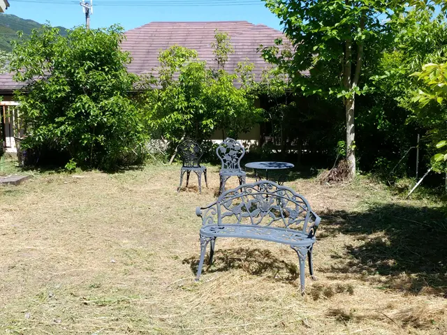 気になるお庭、田畑畦の草刈、竹やぶ雑木林も対応します。まずはご相談ください。サービスの画像