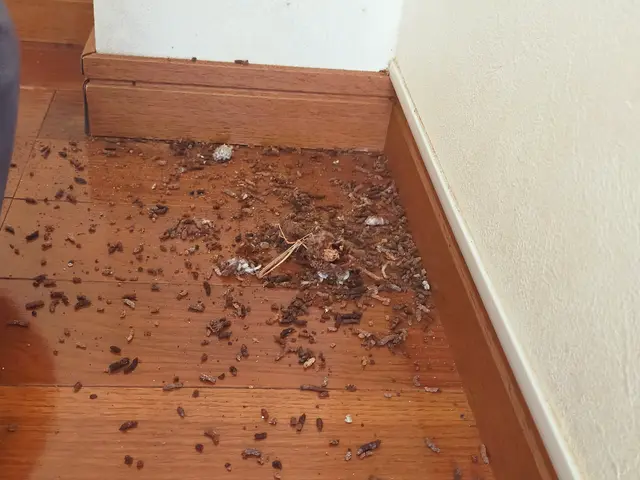 プロの技術でご満足いただけるように心を込めて作業いたしますサービスの画像