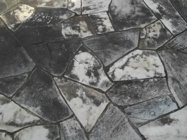 高い技術力と丁寧な対応を心がけております！環境に優しい洗剤で仕上げます。サービスの画像