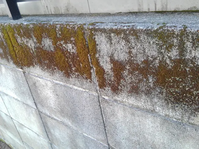 高い技術力と丁寧な対応を心がけております！環境に優しい洗剤で仕上げます。サービスの画像