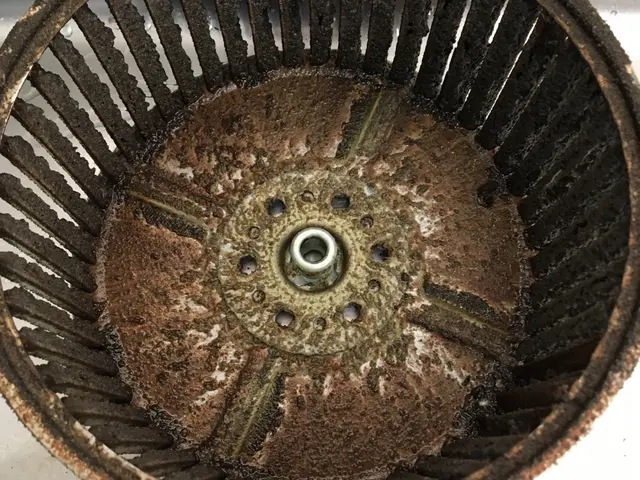 家ピカ本舗の加盟店◎年間1000件以上の作業実績◎損害保険加入◎創業１２年以上サービスの画像