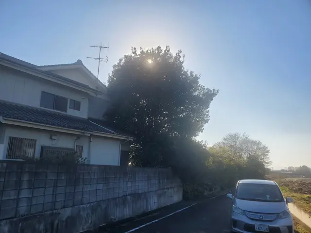 只今、伐採本数割引実施中！！　　　　　　　　　庭・空き地・山などお任せください！サービスの画像