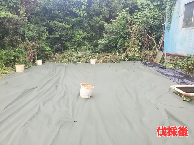 只今、伐採本数割引実施中！！　　　　　　　　　庭・空き地・山などお任せください！サービスの画像