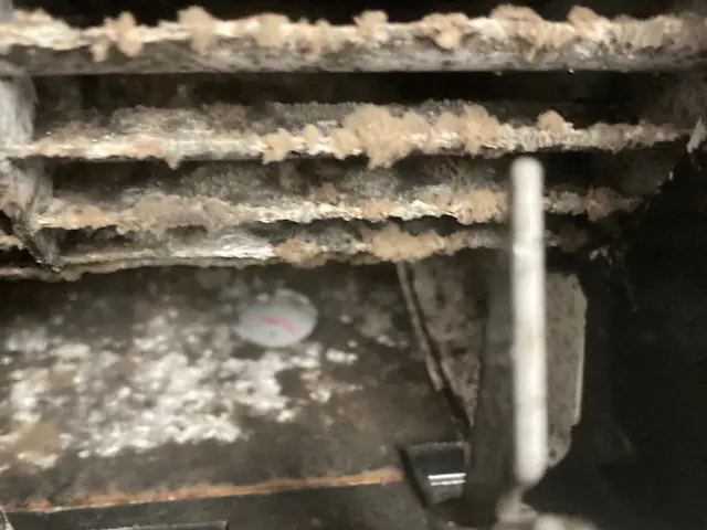 ペットやお子様に安全な天然由来の洗剤使用、損害保険加入サービスの画像