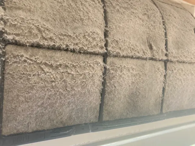 ペットやお子様に安全な天然由来の洗剤使用、損害保険加入サービスの画像