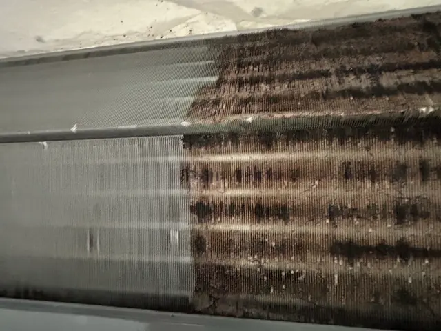 ペットやお子様に安全な天然由来の洗剤使用、損害保険加入サービスの画像