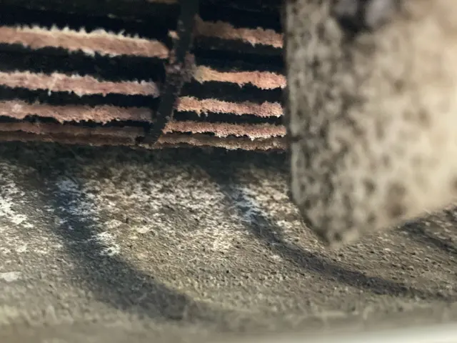 ペットやお子様に安全な天然由来の洗剤使用、損害保険加入サービスの画像